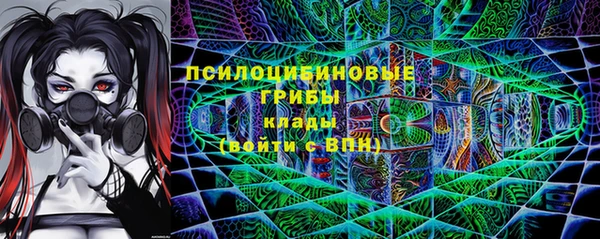 молекула духа Няндома