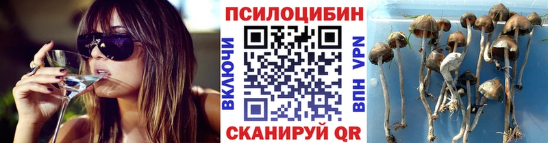 Псилоцибиновые грибы мухоморы  kraken   Опочка 